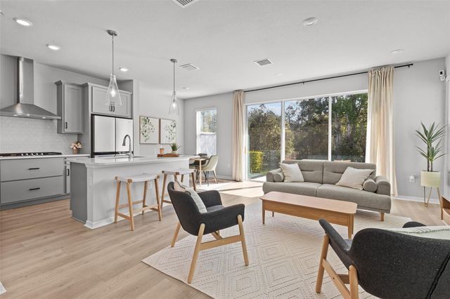 17240 BALANCE COVE, Land O Lakes, FL 34638