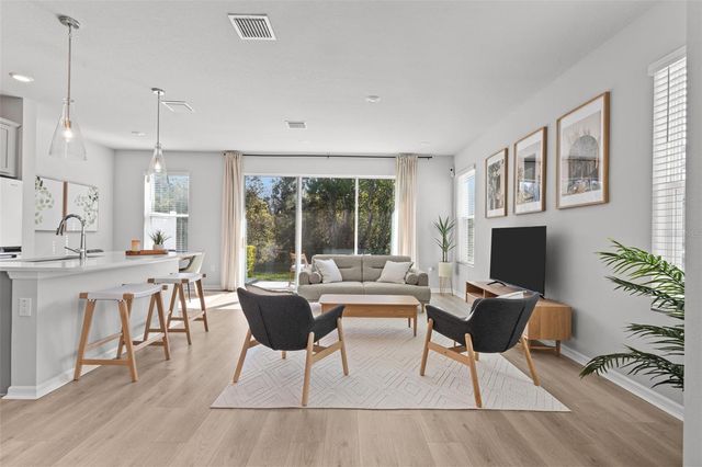 17240 BALANCE COVE, Land O Lakes, FL 34638