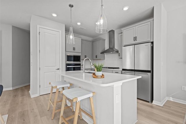 17240 BALANCE COVE, Land O Lakes, FL 34638