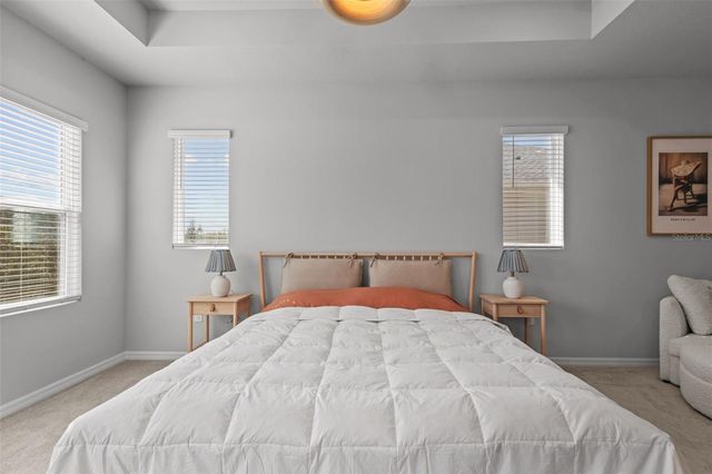 17240 BALANCE COVE, Land O Lakes, FL 34638