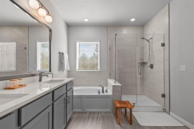 17240 BALANCE COVE, Land O Lakes, FL 34638