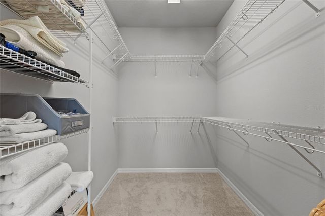 17240 BALANCE COVE, Land O Lakes, FL 34638