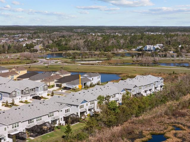 17240 BALANCE COVE, Land O Lakes, FL 34638