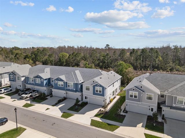 17240 BALANCE COVE, Land O Lakes, FL 34638