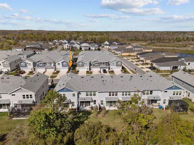 17240 BALANCE COVE, Land O Lakes, FL 34638