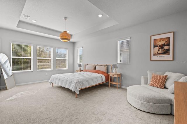 17240 BALANCE COVE, Land O Lakes, FL 34638