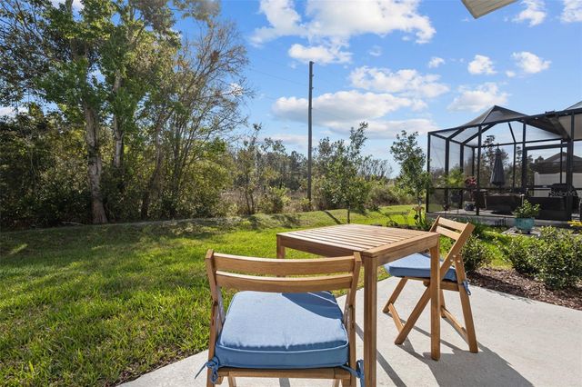 17240 BALANCE COVE, Land O Lakes, FL 34638