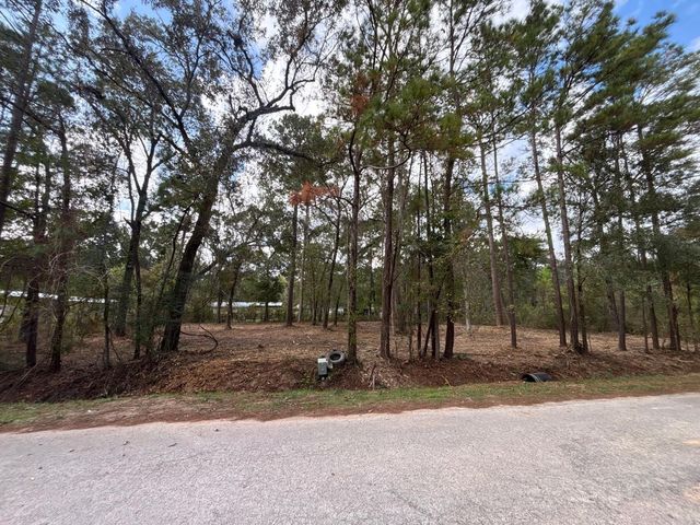 20982 S Sabine Dr, New Caney, TX 77357