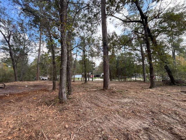 20982 S Sabine Dr, New Caney, TX 77357