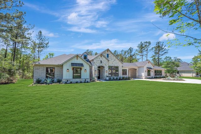 7741 Dog Wood Acres Drive, Montgomery, TX 77316