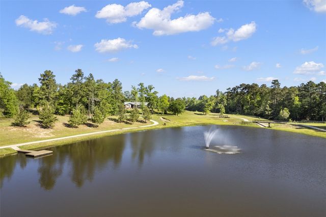 7741 Dog Wood Acres Drive, Montgomery, TX 77316