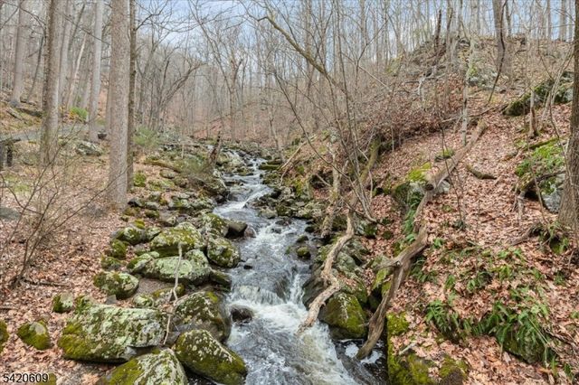 908 Ravine Road, Lebanon Twp., NJ 07830