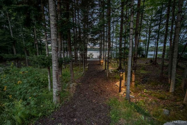 195 Homan Lake Road, Iron River, MI 49935