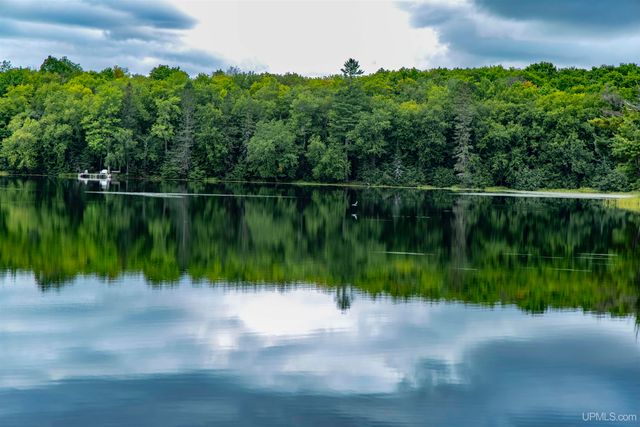 195 Homan Lake Road, Iron River, MI 49935