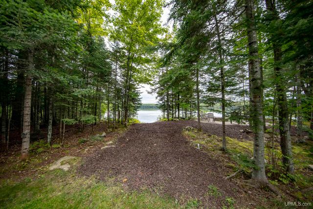195 Homan Lake Road, Iron River, MI 49935
