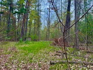 West Branch Drive, Gladwin, MI 48624