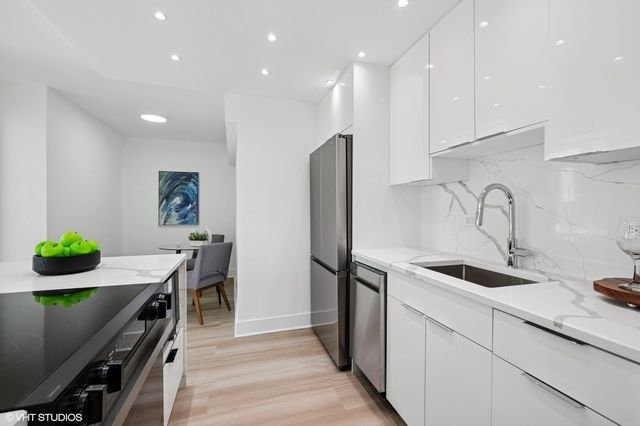 1255 N Sandburg Terrace 503, Chicago, IL 60610