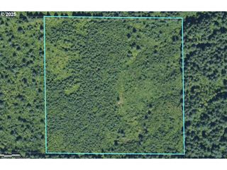 0 TBD, Brush Prairie, WA 98606