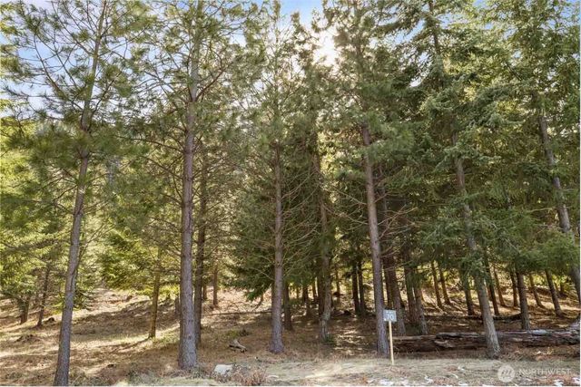 70 Liberty Bell Lane, Cle Elum, WA 98922