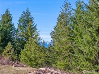 70 Liberty Bell Lane, Cle Elum, WA 98922