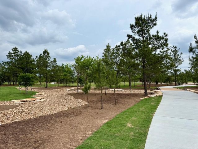 26762 Frontier Trace Drive, Montgomery, TX 77316