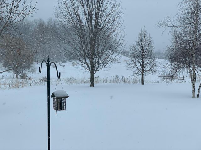 6848 Omar Avenue Court S, Denmark Twp, MN 55033