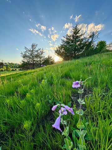 6848 Omar Avenue Court S, Denmark Twp, MN 55033