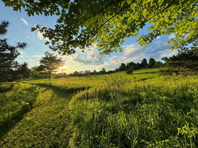 6848 Omar Avenue Court S, Denmark Twp, MN 55033