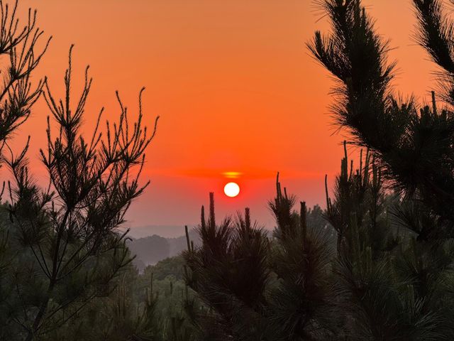 6848 Omar Avenue Court S, Denmark Twp, MN 55033