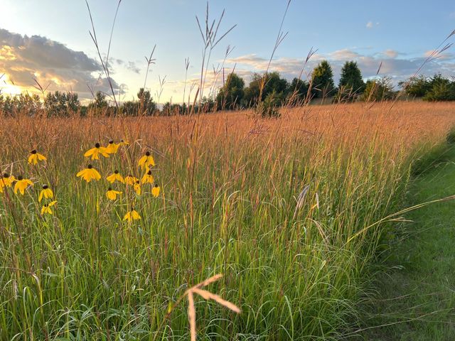 6848 Omar Avenue Court S, Denmark Twp, MN 55033