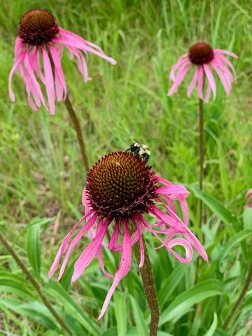 6848 Omar Avenue Court S, Denmark Twp, MN 55033