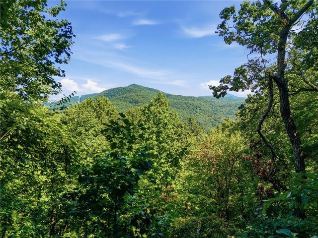 445 Orchid Trail, Clayton, GA 30525