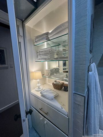 166 N NEW BRAUNFELS D, Alamo Heights, TX 78209