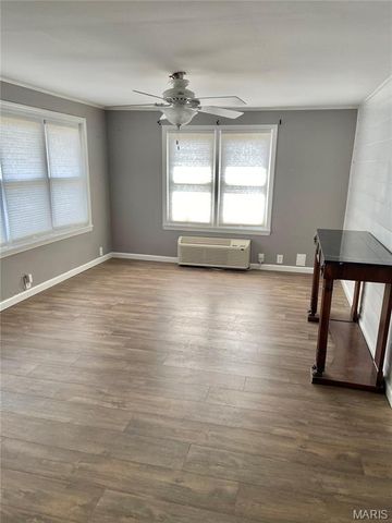 593 N Hwy. 51, Puxico, MO 63960