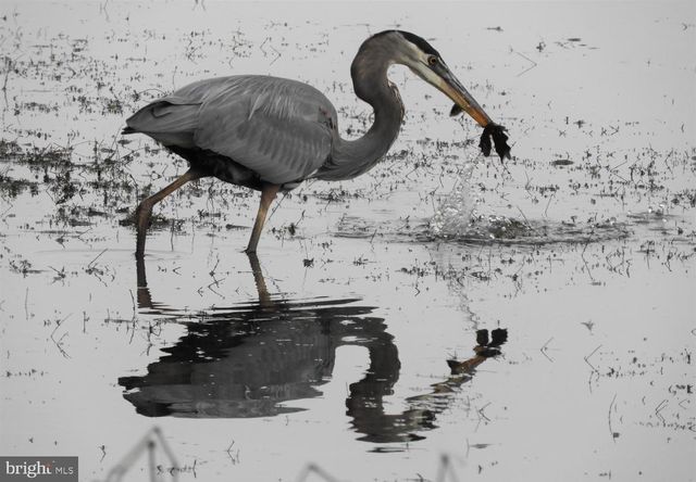 14440 LONG CHANNEL CIR, Germantown, MD 20874