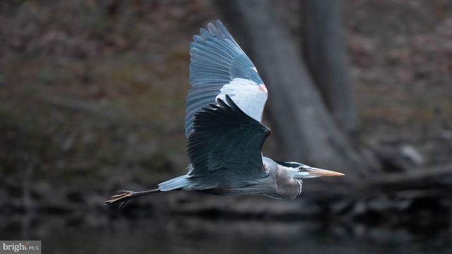 14440 LONG CHANNEL CIR, Germantown, MD 20874