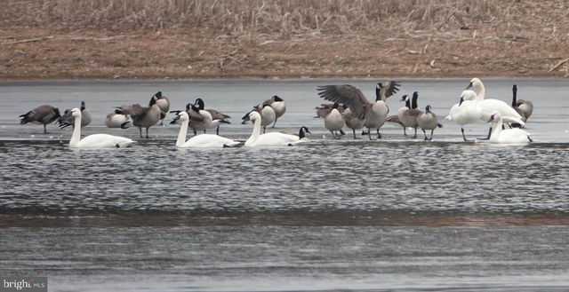 14440 LONG CHANNEL CIR, Germantown, MD 20874