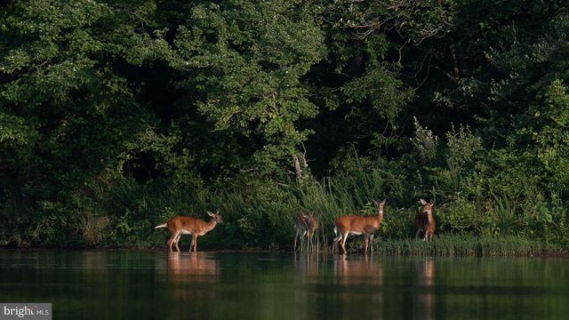 14440 LONG CHANNEL CIR, Germantown, MD 20874