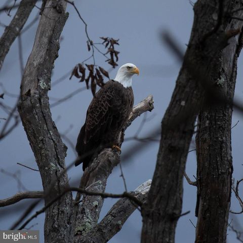 14440 LONG CHANNEL CIR, Germantown, MD 20874