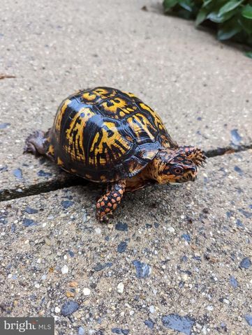 14440 LONG CHANNEL CIR, Germantown, MD 20874