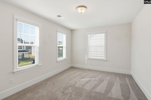 1525 Garrett Court, Chapin, SC 29036