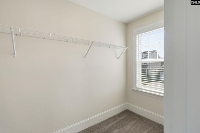 1525 Garrett Court, Chapin, SC 29036