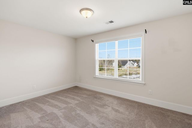 1525 Garrett Court, Chapin, SC 29036