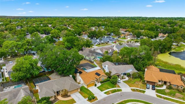 3533 SPRINGVILLE DRIVE, Valrico, FL 33596