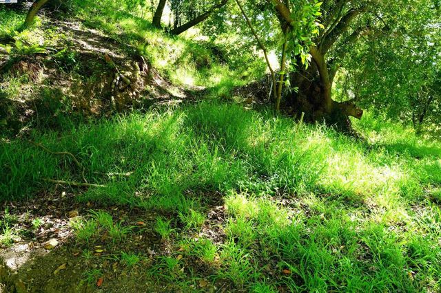 0 Willowbank Ct, Oakland, CA 94611