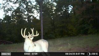 37 AC Madison 410, Fredericktown, MO 63645