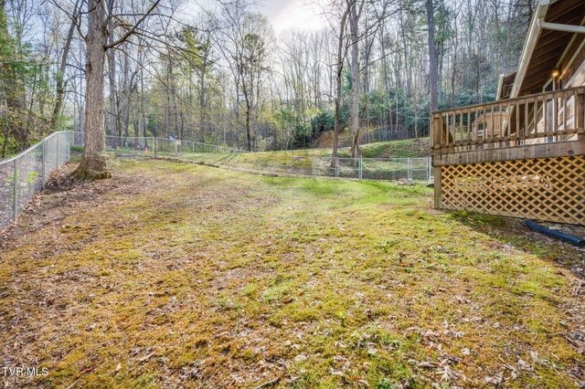 1072 Lower Paint Creek Road, Greeneville, TN 37743