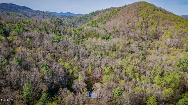 1072 Lower Paint Creek Road, Greeneville, TN 37743