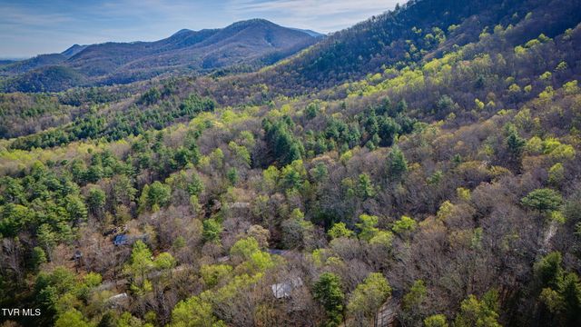 1072 Lower Paint Creek Road, Greeneville, TN 37743