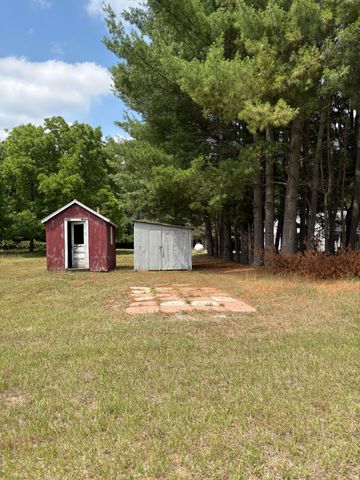 22347 5 Mile Road, Morley, MI 49336